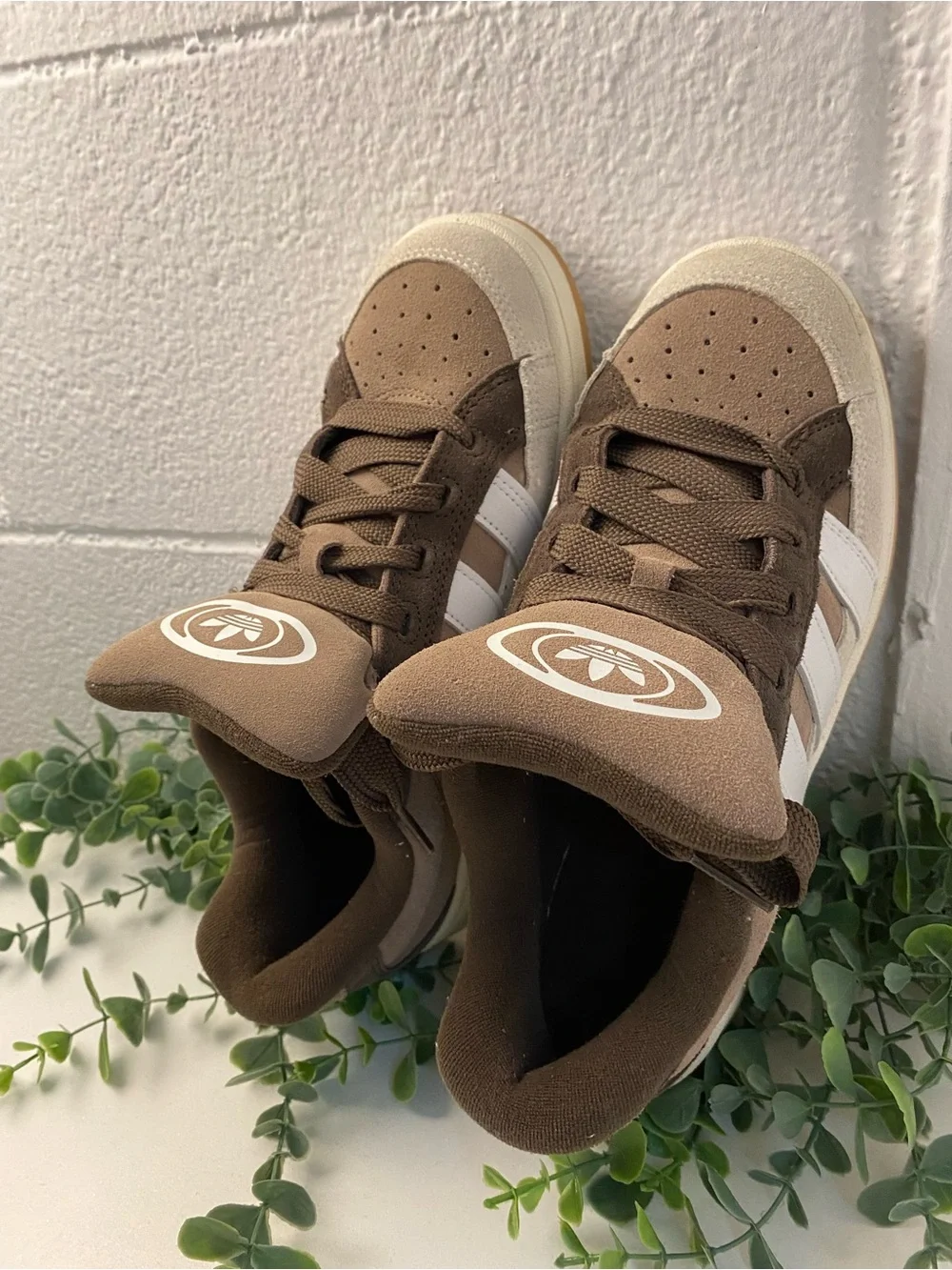 Adidas Campus Brown - Picture 2 of 6